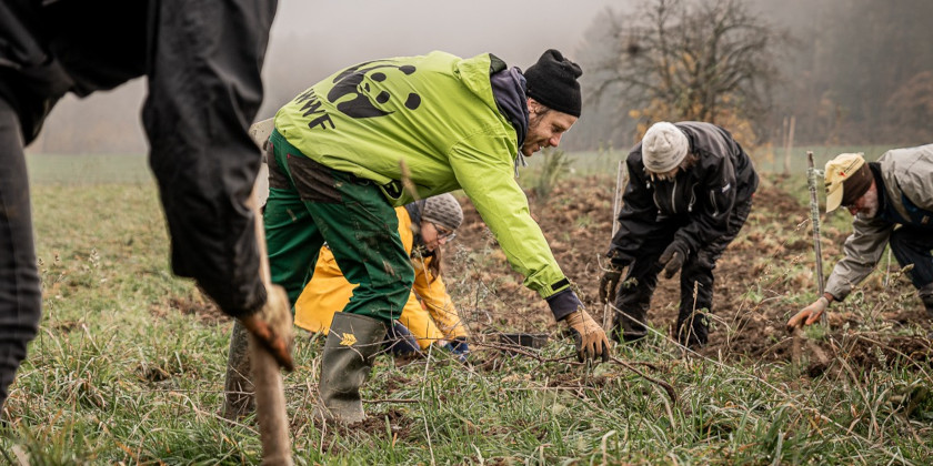 Fünf Personen bei der Arbeit auf einer Wiese am Waldrand